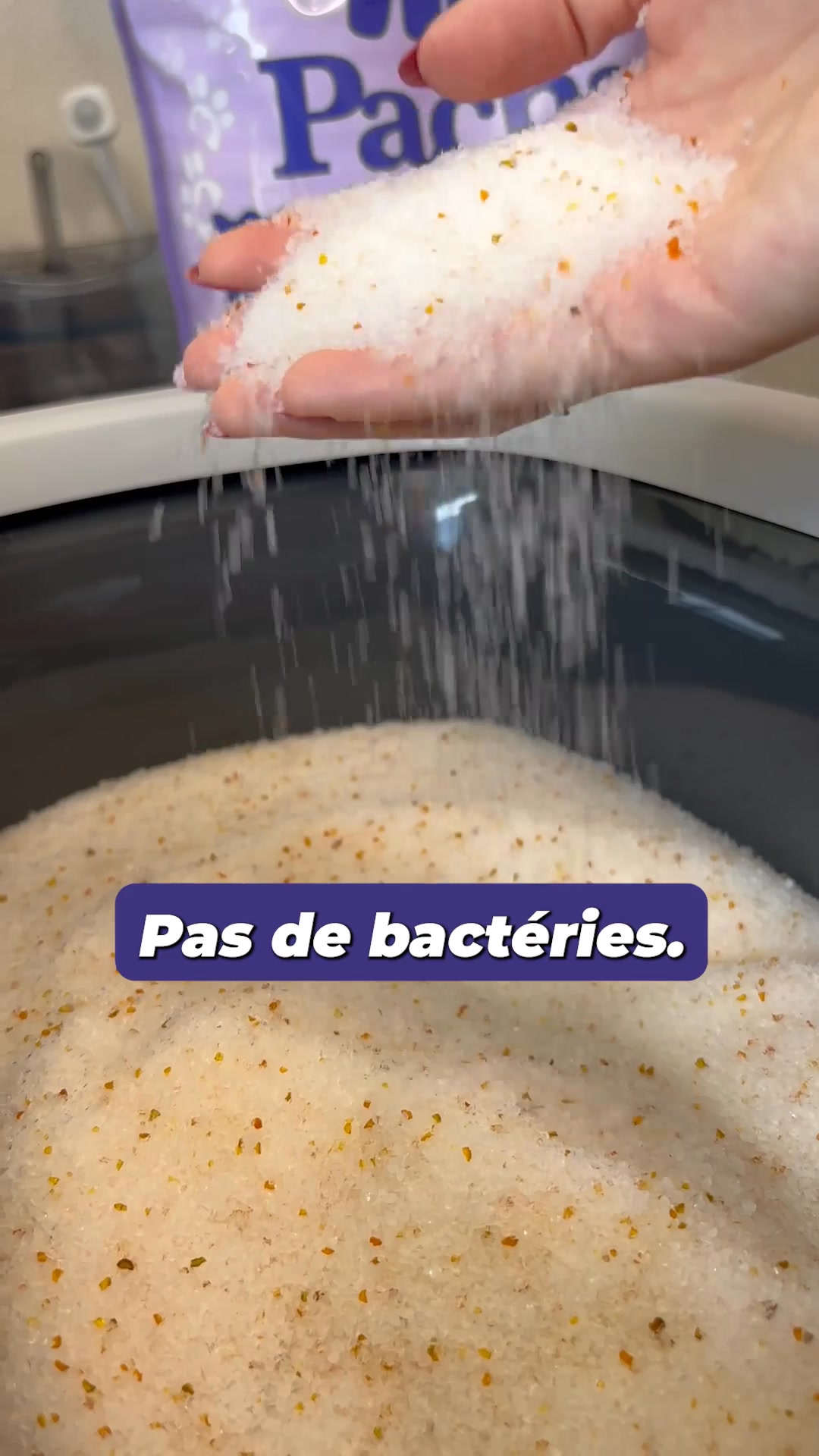 Voici comment diviser par 7 le temps de nettoyage de votre litière