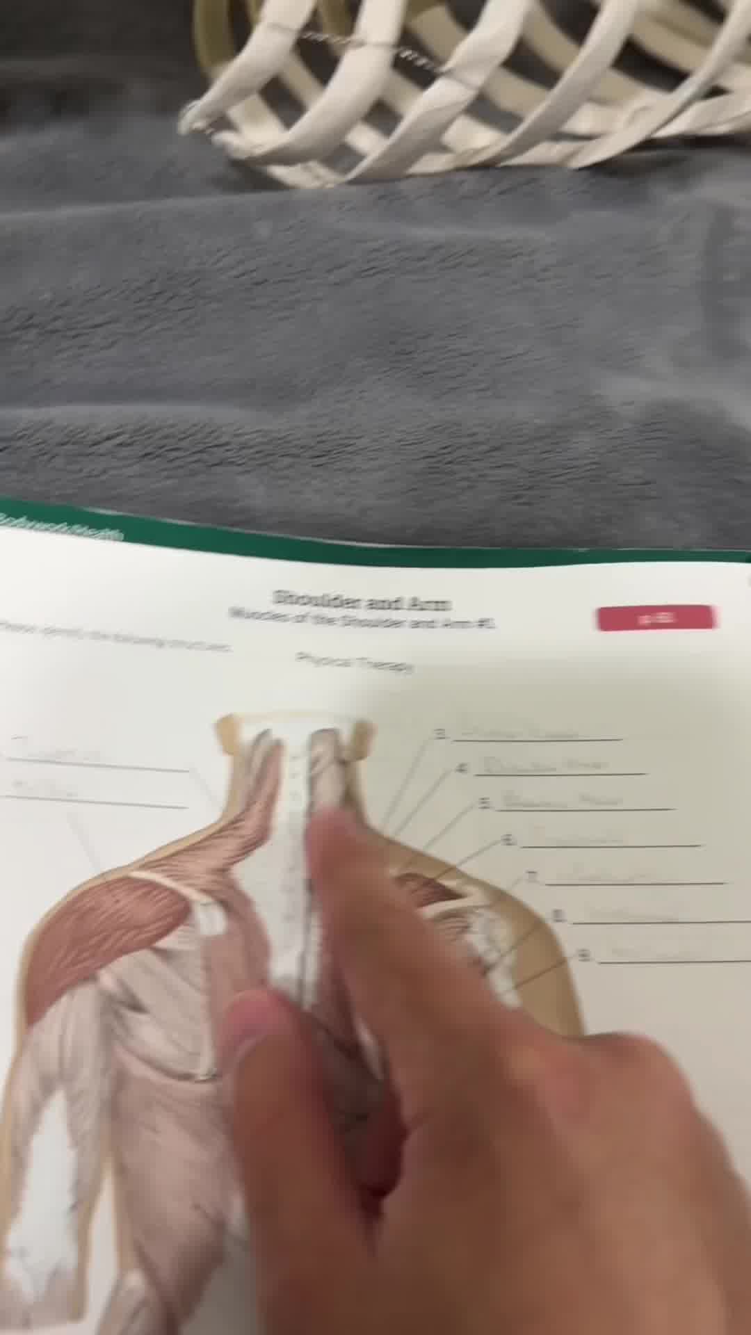 +10 000 clients satisfaits