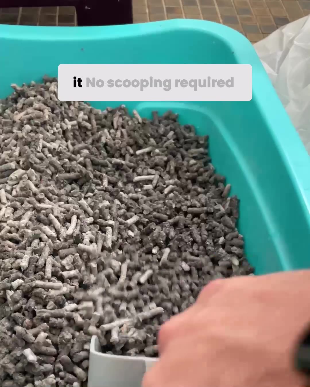 Try Risk-Free Today🐈