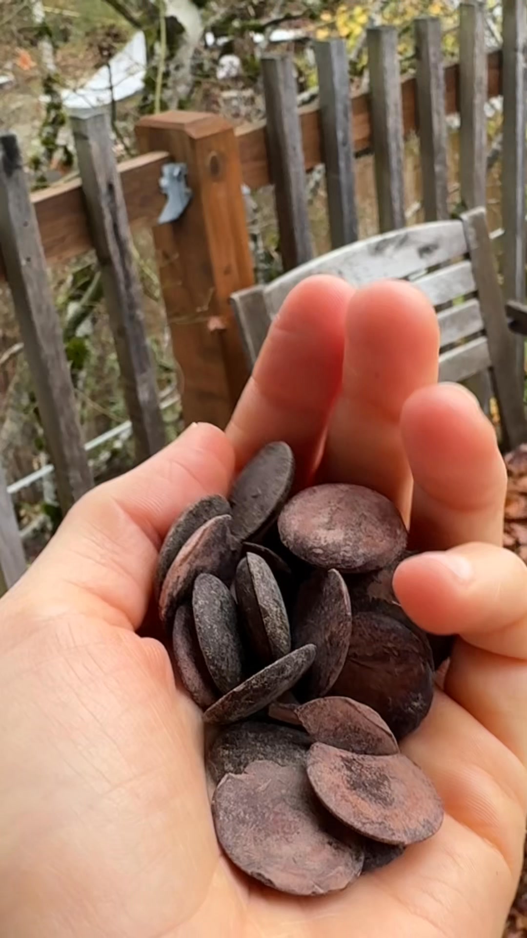 Experience the magic of cacao