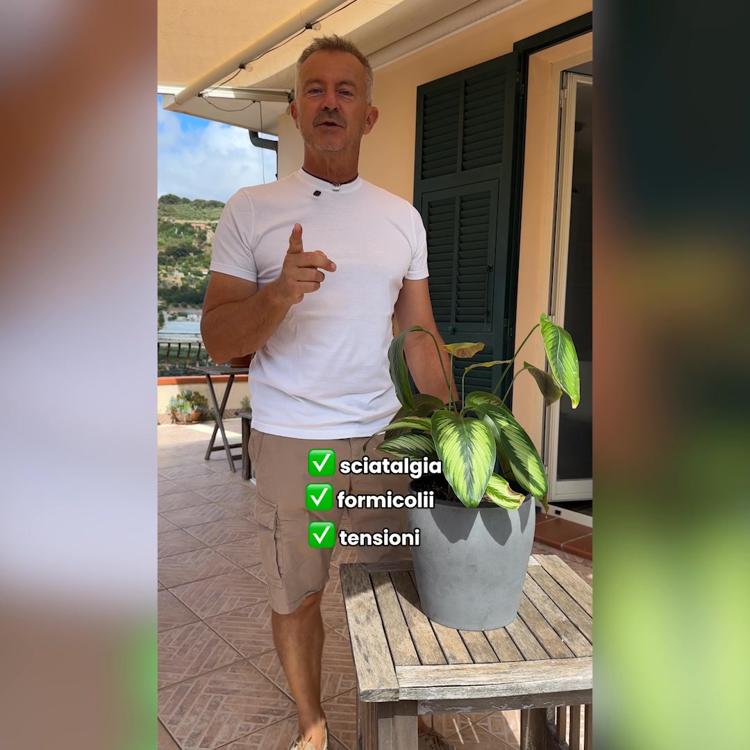 Ogni passo un segnale dei nervi… oggi uso Mavosten