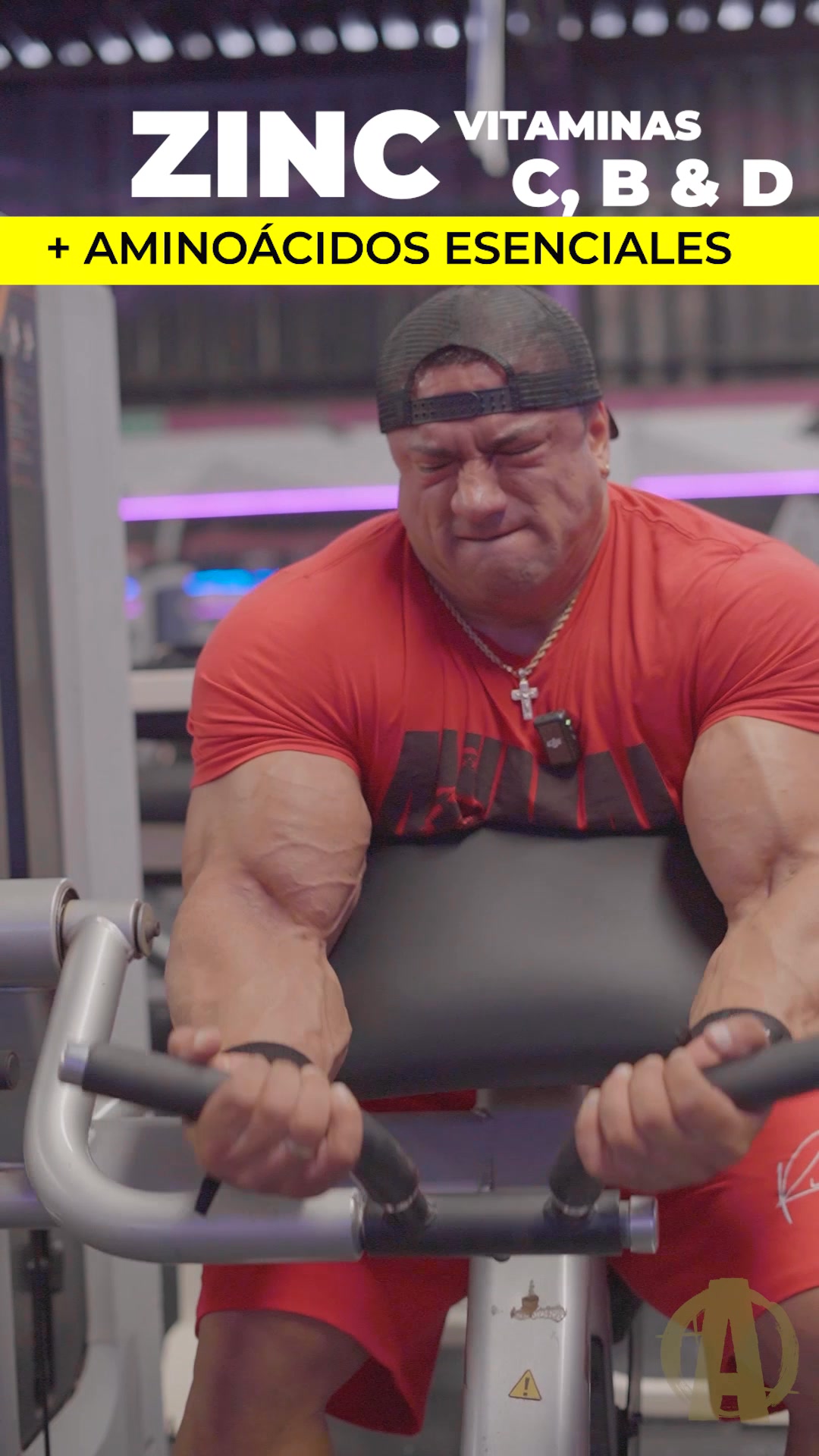 Un paquete = 12 suplementos