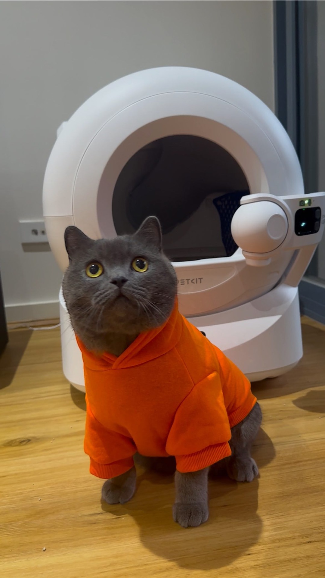 Ever wished litter box chores could handle themselves? Meet the Petkit Purobot Ultra 🤖

We’ve been using it for a while now, and honestly, it’s the coolest and most hands-free litter box we’ve ever tried! No more scooping, packing, or even bagging 💃

Honchu approved 🐾 and we think you will too - check out the link in my bio 🔗

#funnycats #cats #instacat #instalike #automaticlitterbox #catreels #catmemes #explorepage #petkit #smarttech #britishshorthair #cute