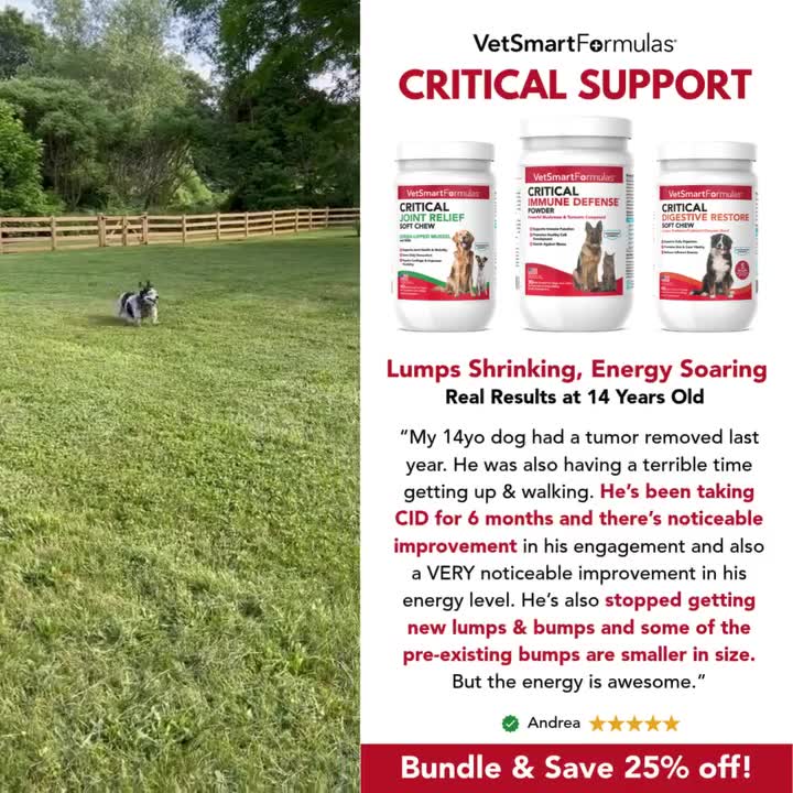 𝗟𝘂𝗺𝗽𝘀 𝗦𝗵𝗿𝗶𝗻𝗸𝗶𝗻𝗴, 𝗘𝗻𝗲𝗿𝗴𝘆 𝗦𝗼𝗮𝗿𝗶𝗻𝗴 - 𝗥𝗲𝗮𝗹 𝗥𝗲𝘀𝘂𝗹𝘁𝘀 𝗮𝘁 𝟭𝟰 𝗬𝗲𝗮𝗿𝘀 𝗢𝗹𝗱