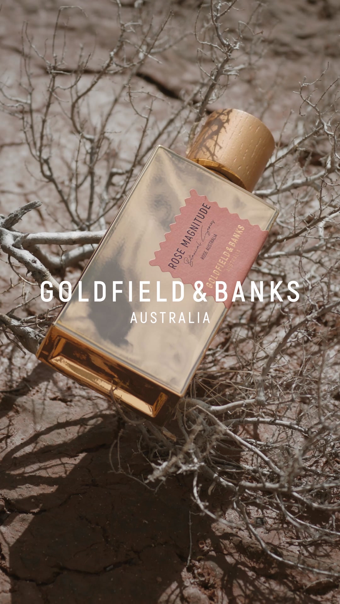 WILD, TEXTURED, UNEXPECTED