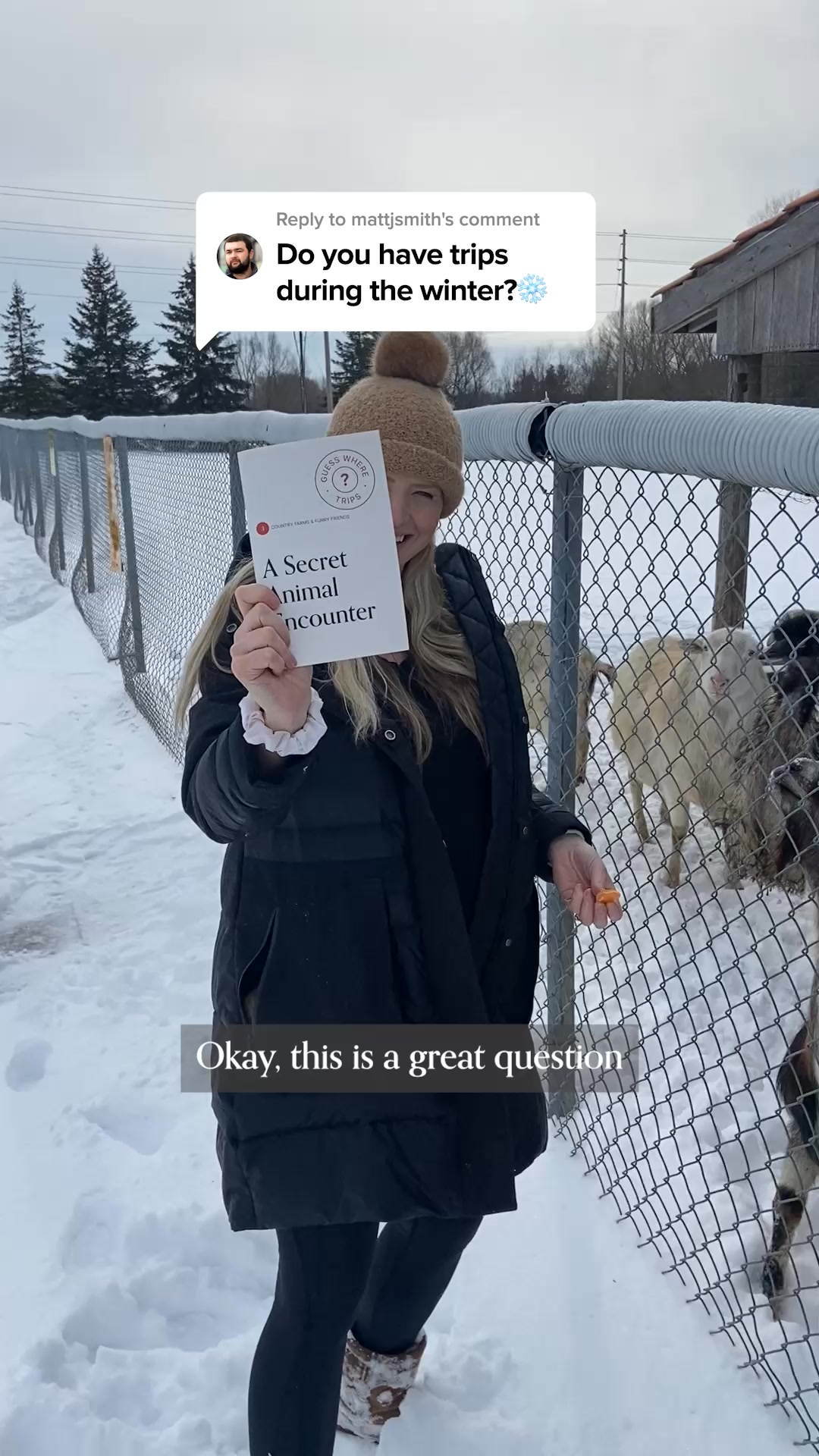 Discover Mystery Road Trips 😍