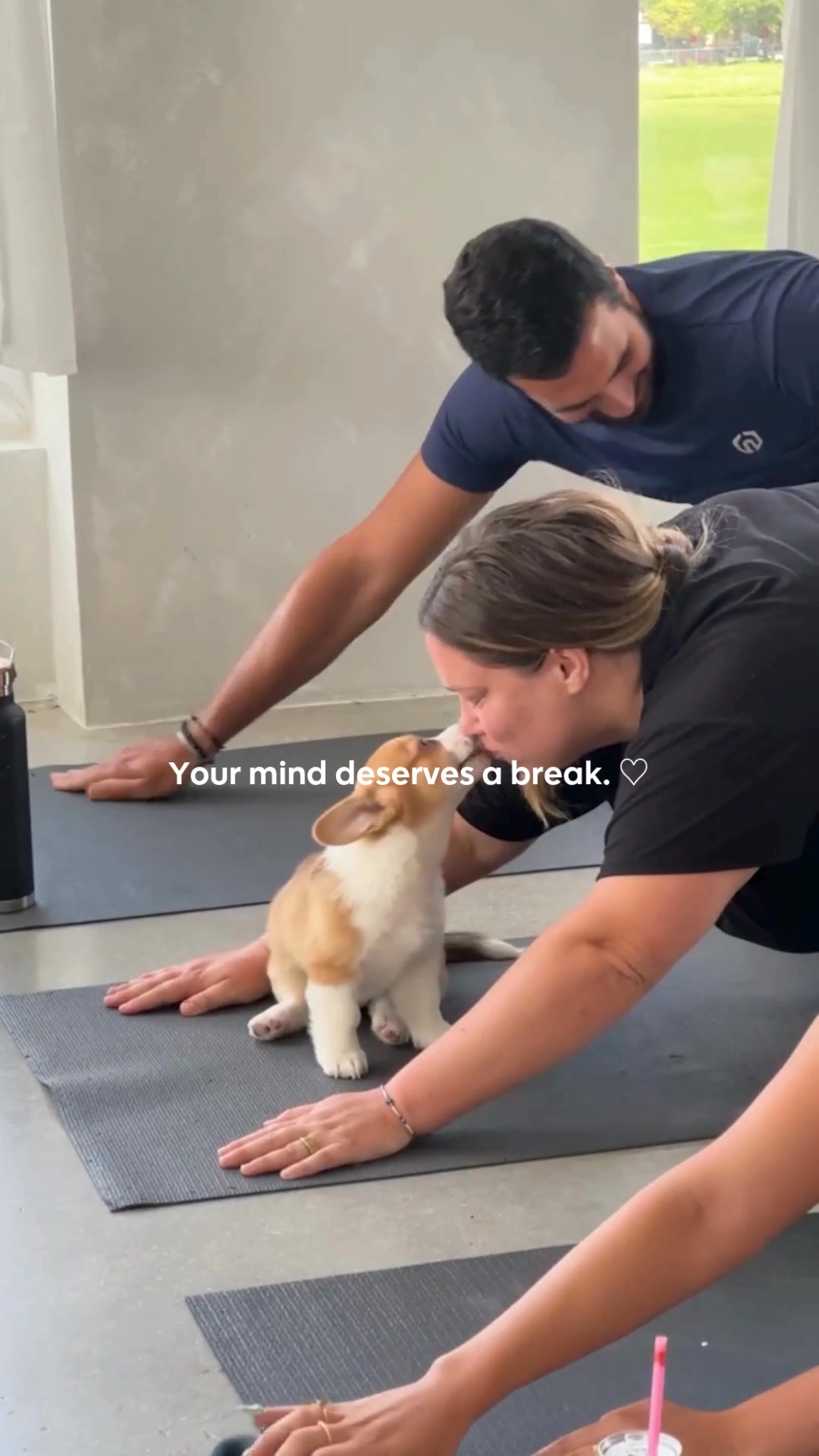 Cute Weekend Plans Ahead with Puppies and Yoga In Ottawa