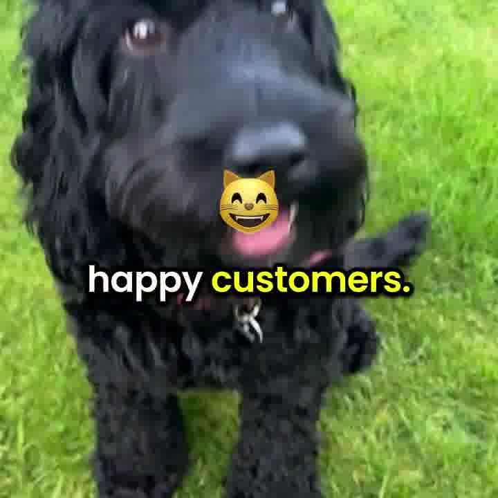 Free For A Limited Time 🔥