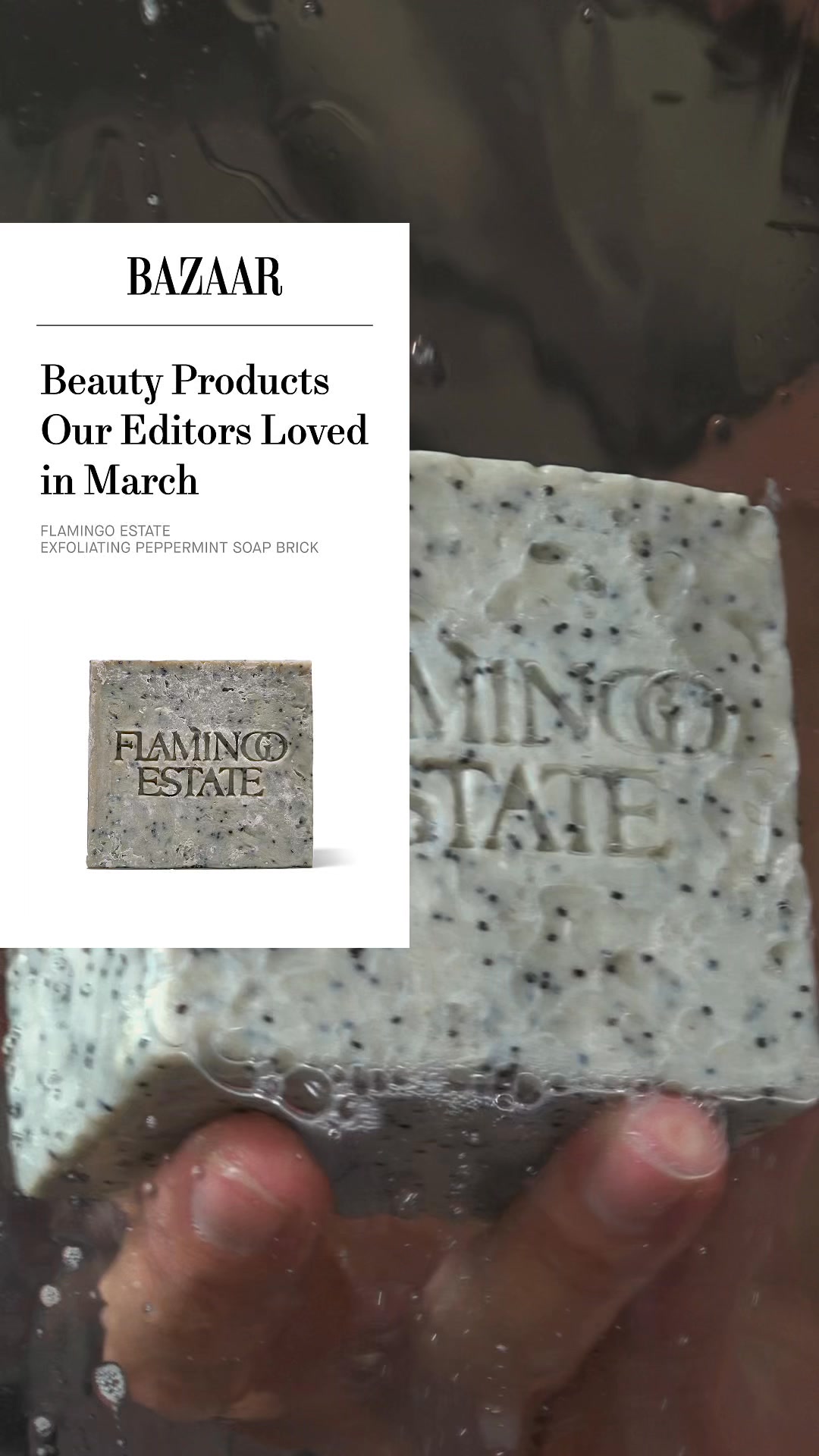 Exfoliating Peppermint Bar Soap
