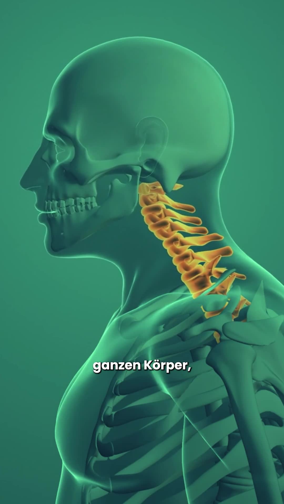 Jetzt zuschlagen nur noch wenige Stück verfügbar!🏄‍♂️