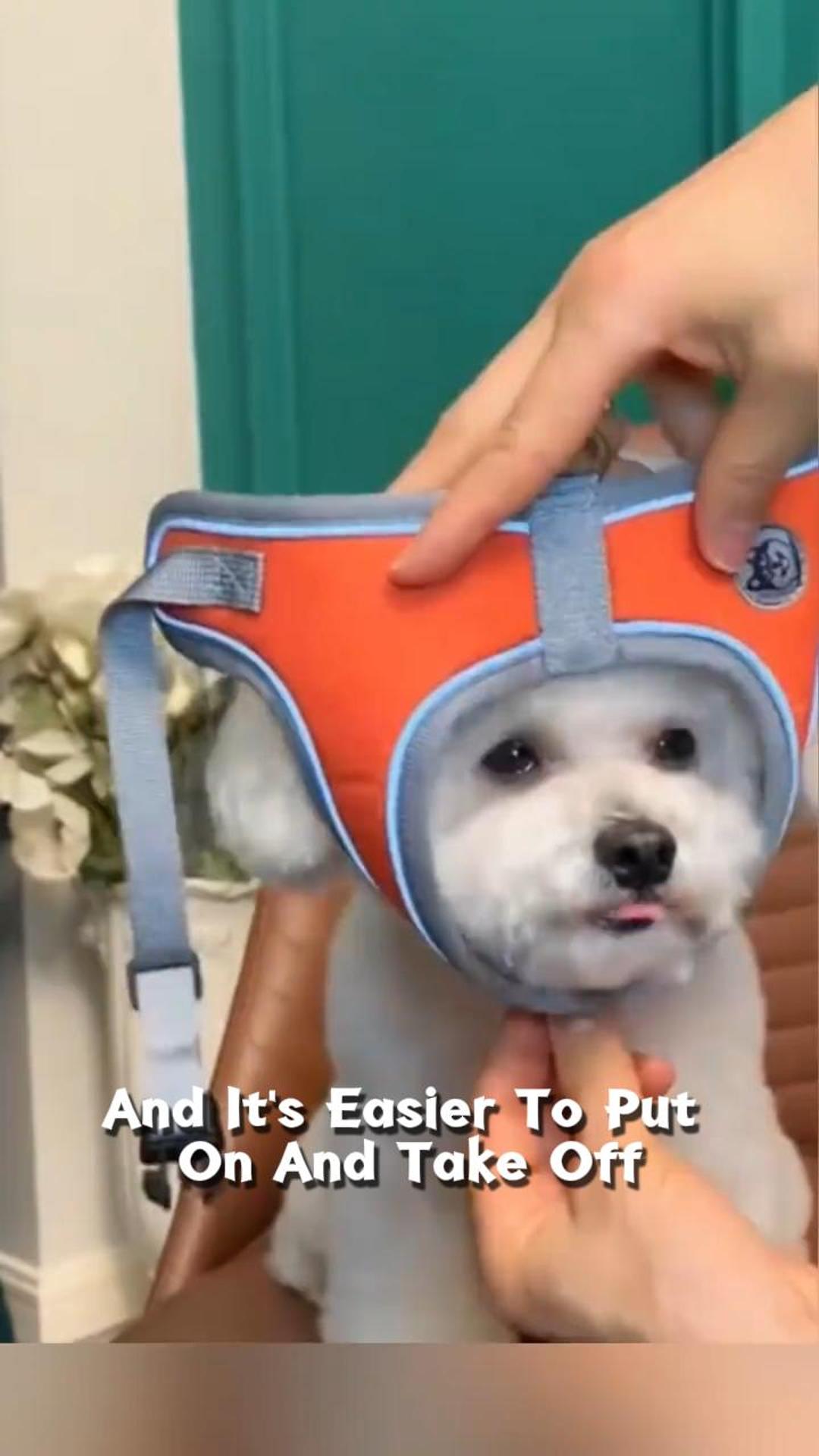 Ditch the Choke Harness!