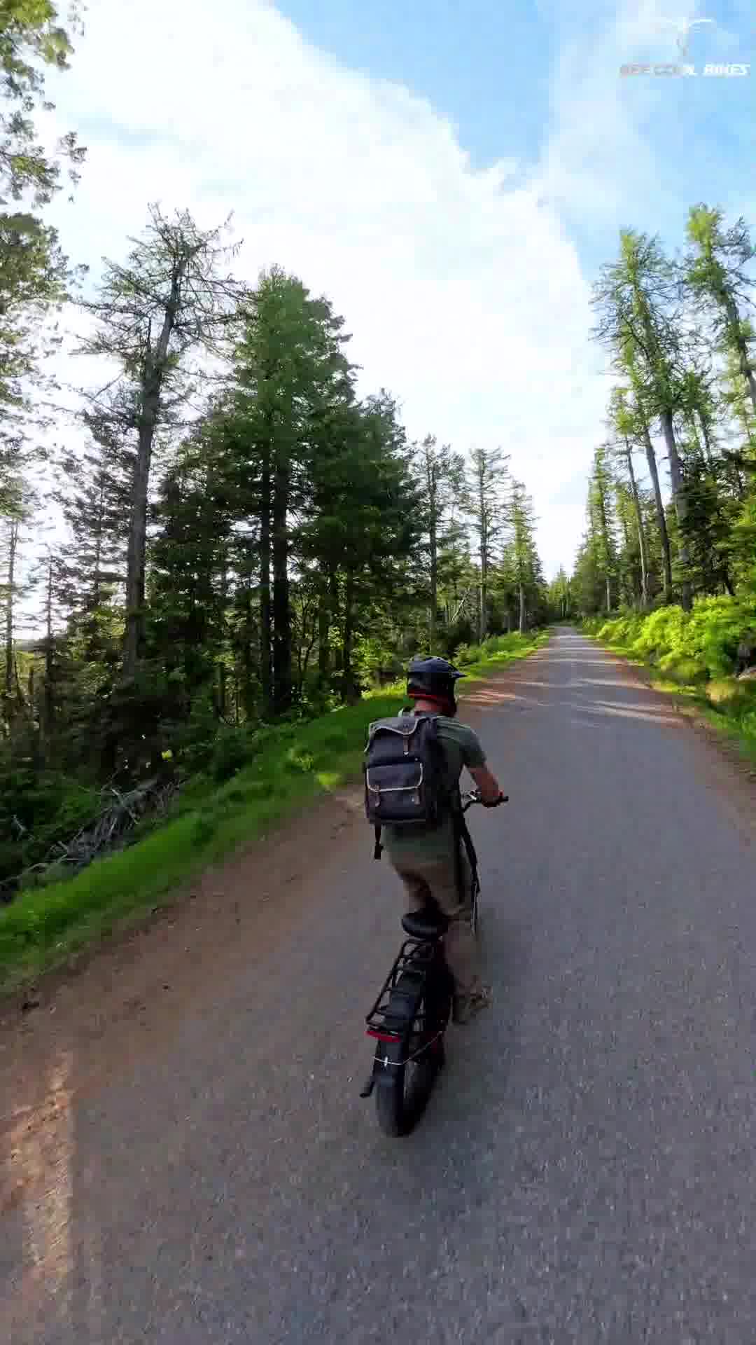 𝐑𝐢𝐝𝐞 𝐰𝐢𝐭𝐡 𝐁𝐞𝐞𝐂𝐨𝐨𝐥, 𝐠𝐨 𝐟𝐚𝐫 𝐚𝐧𝐝 𝐟𝐫𝐞𝐞!
𝐁𝐞𝐞𝐂𝐨𝐨𝐥 𝐁𝐢𝐤𝐞𝐬, 𝐠𝐨 𝐭𝐡𝐞 𝐞𝐱𝐭𝐫𝐚 𝐦𝐢𝐥𝐞!😆