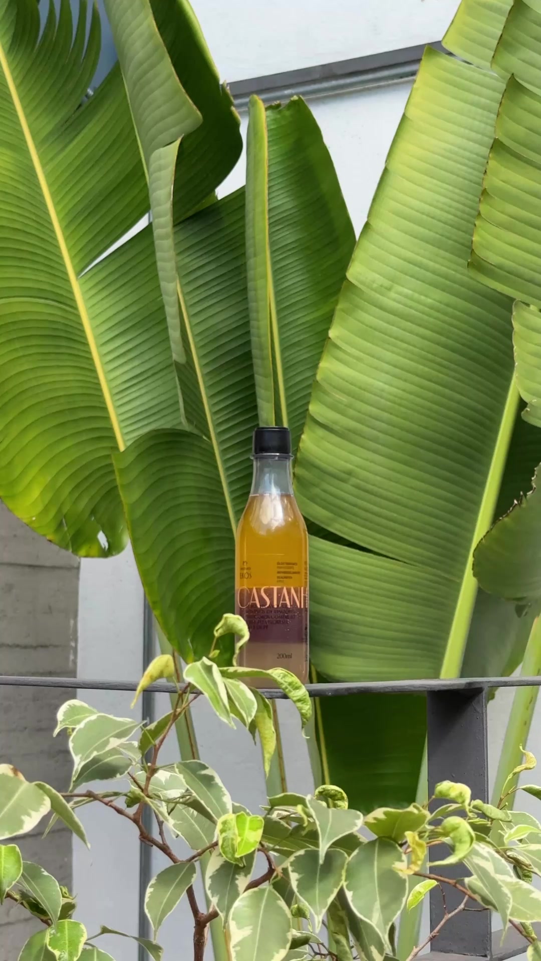 ✨ Revitaliza tu piel y conéctate con la naturaleza.