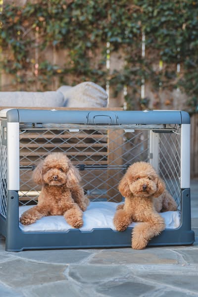 Award-Winning Crate🏆