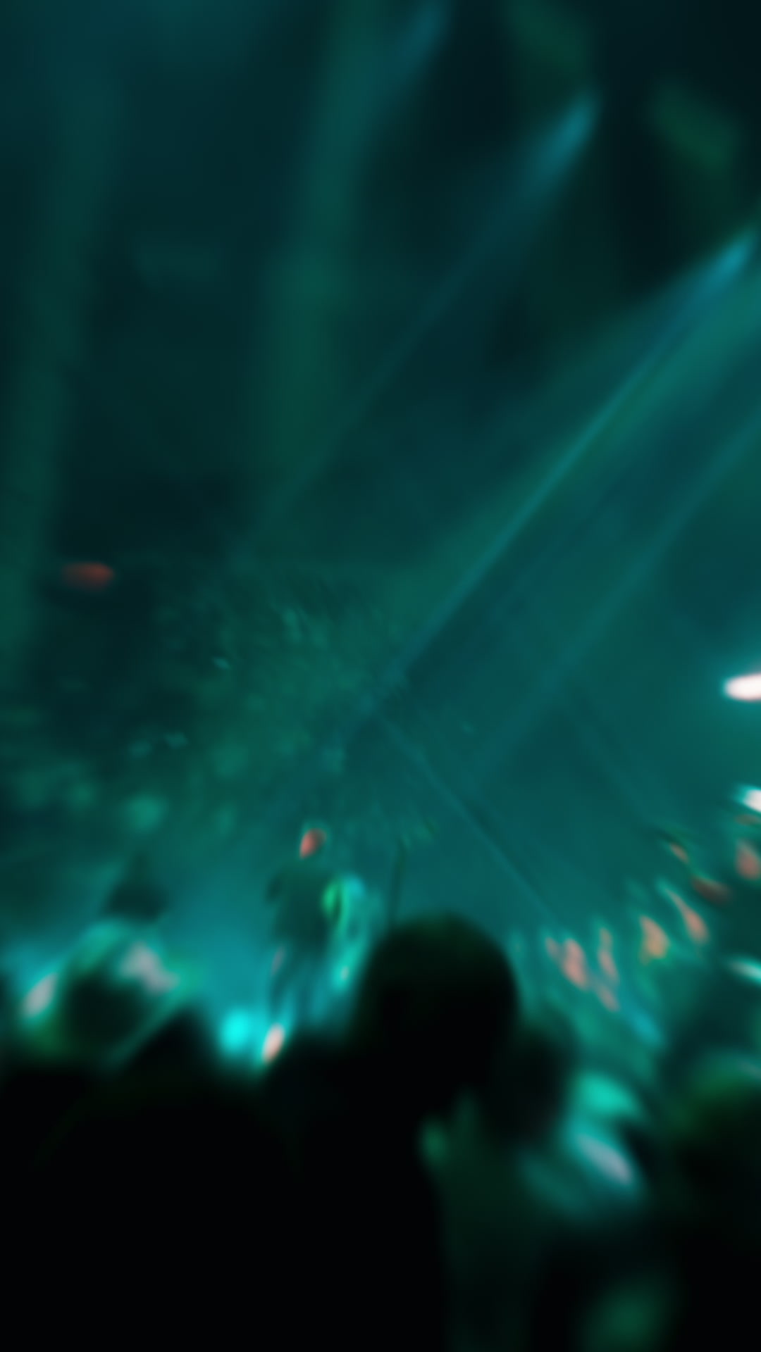 USA Mitchell Center – Sunday, March 22