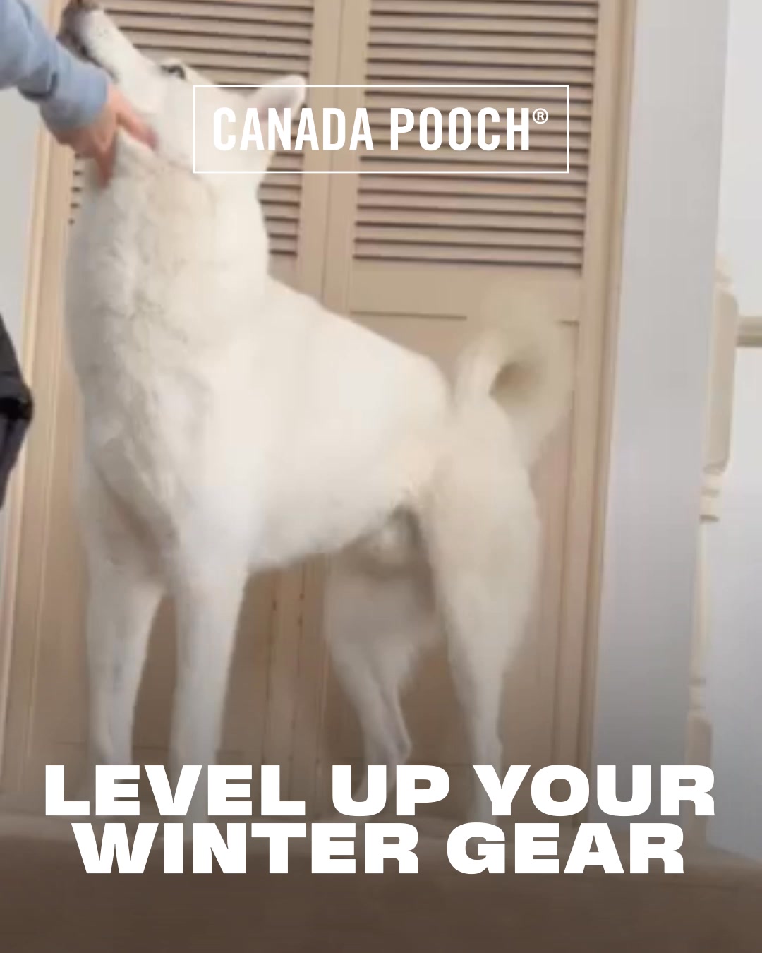 Shop NEW Puffers, Boots, and More!