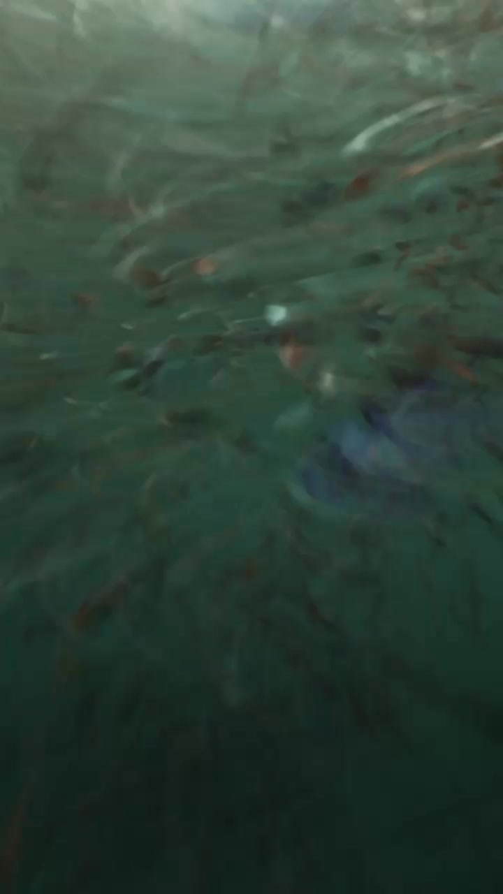 RealFleece™. Real Performance.