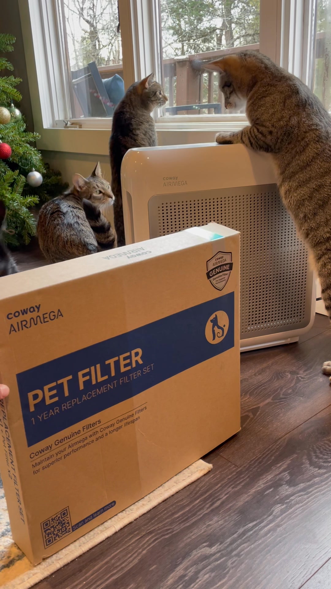 Say Goodbye to Pet Odors