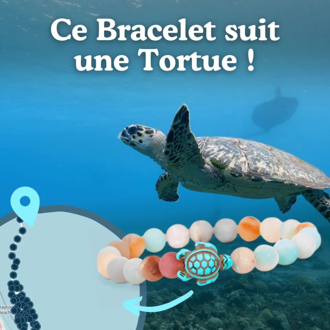 Suivez votre propre Tortue de Mer dans les océans ! 🌊