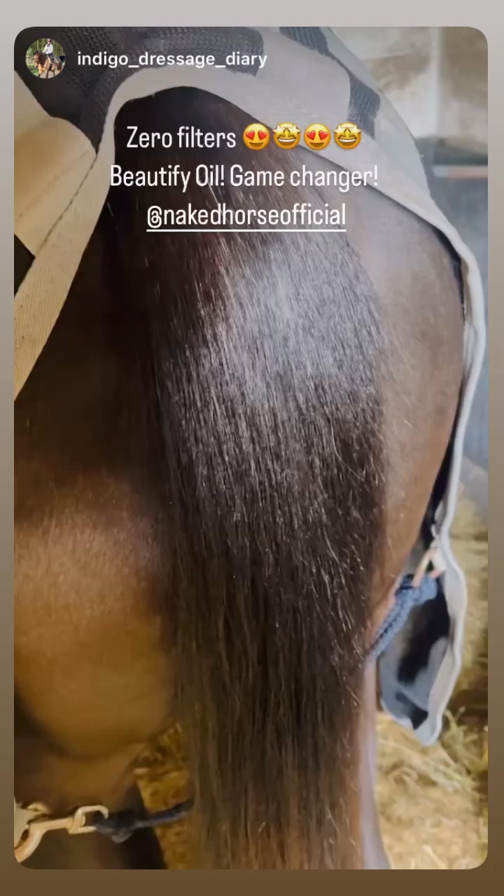 BEST SELLING EQUINE OIL ⭐️⭐️⭐️⭐️⭐️