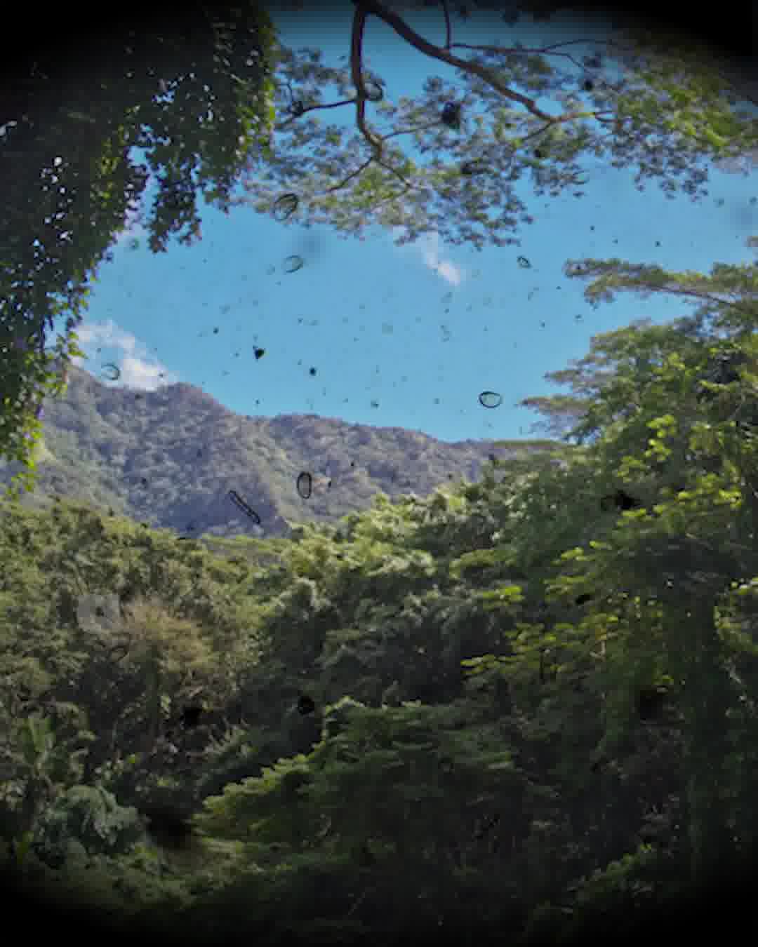 Your Gateway to Clearer Sight!