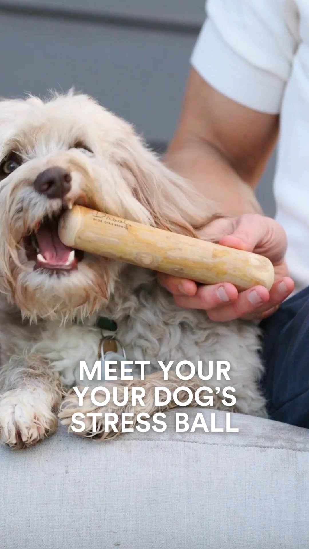 NEW 🐶  Natural Coffee Wood Chews