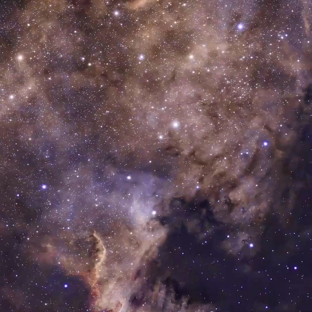 Capture amazing moments with DWARF 3