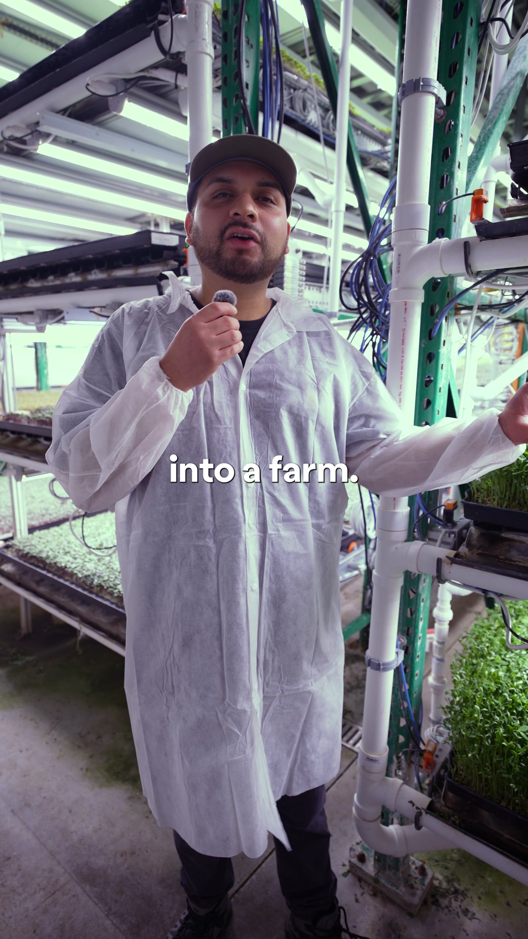 Whole Food Nutrition Made Simple