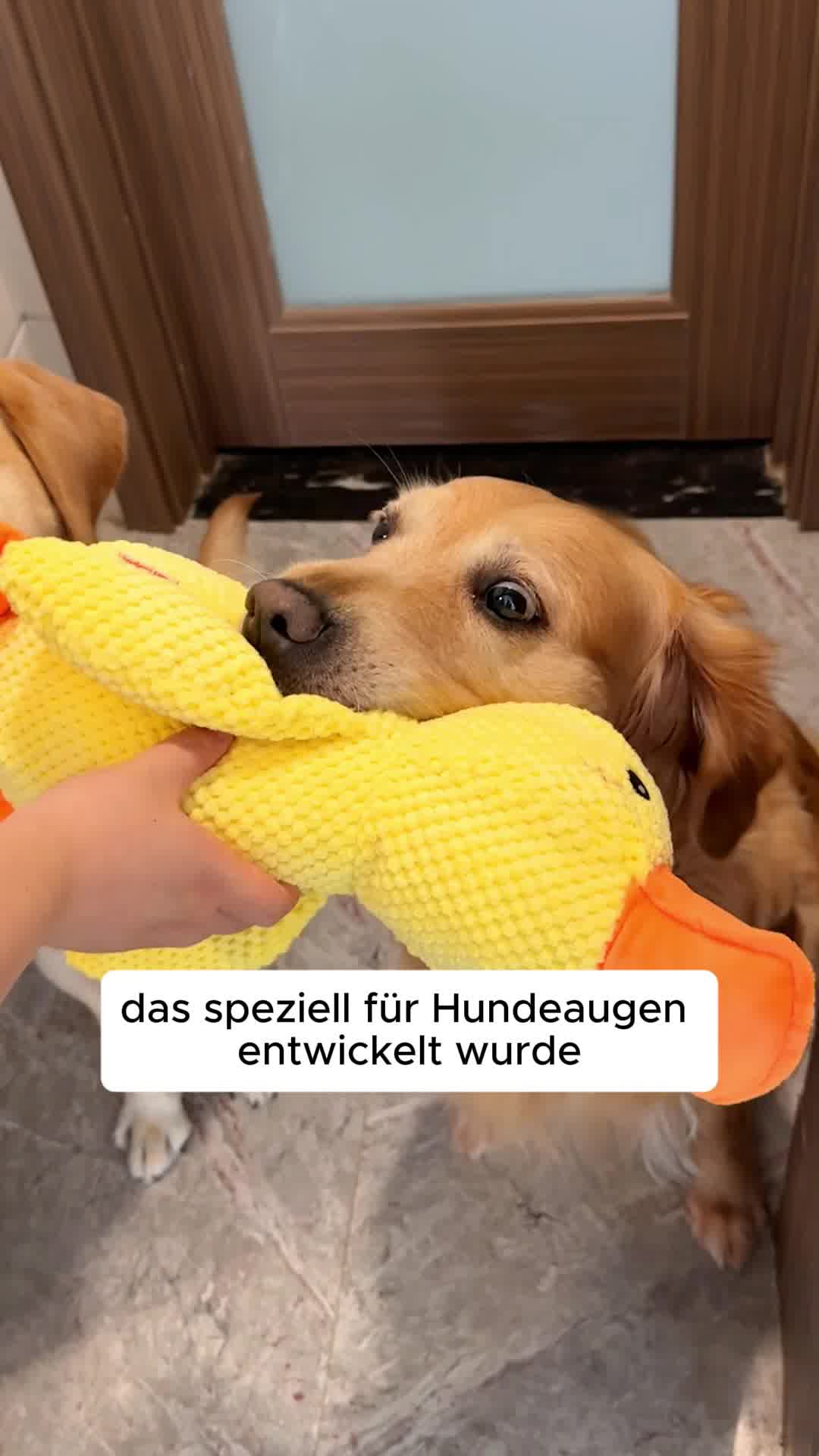 30 Tage risikofrei ausprobieren