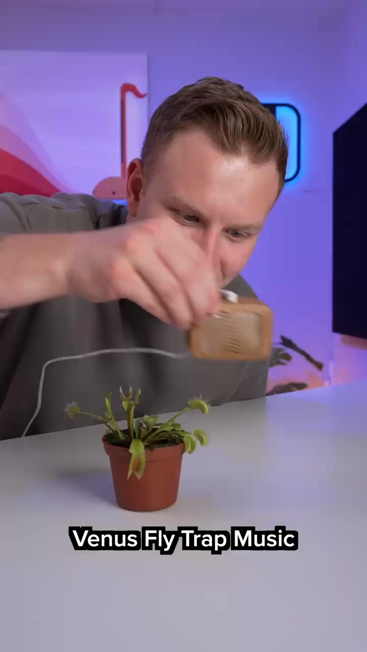 Tune into Nature's Secret Song