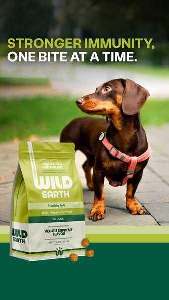 Help Your Pet Live Longer with Wild Earth!
