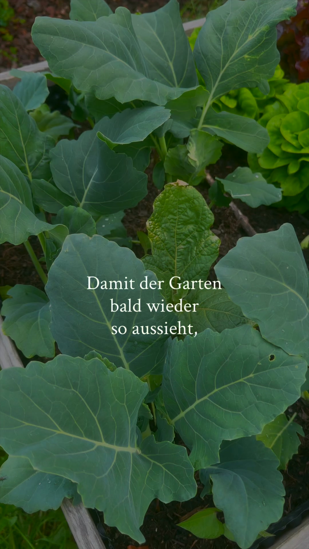 Jetzt Schnupperbox sichern