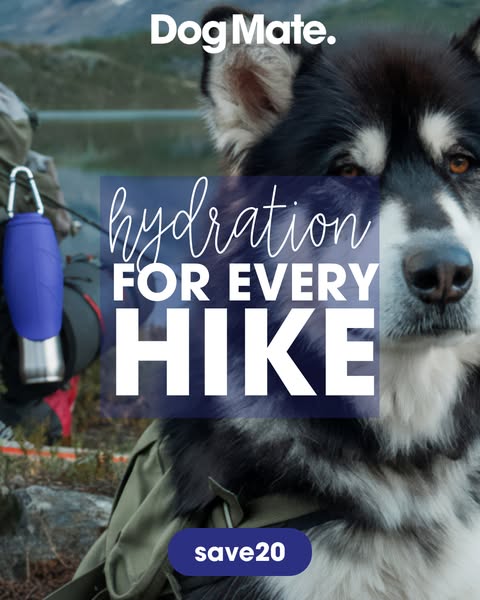 Dog Mate 800ml Insulated Pet Water Bottle with Pawer Water Pouch