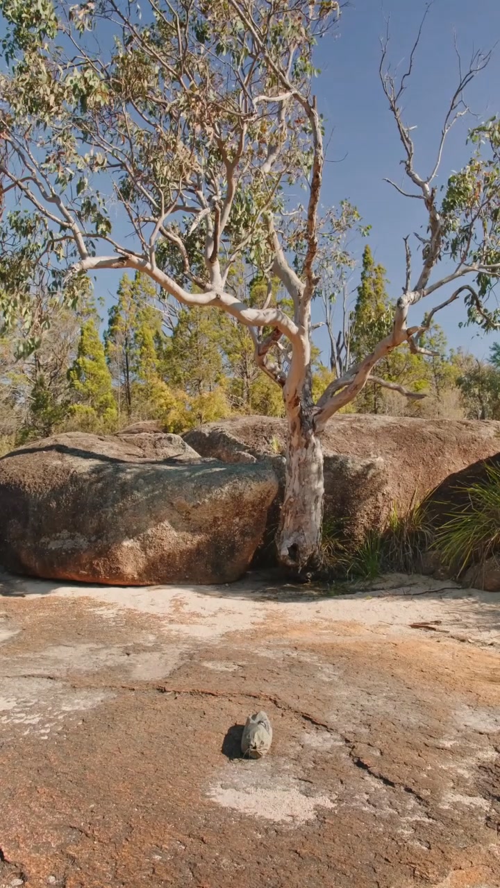 Ultralight Camp Chair