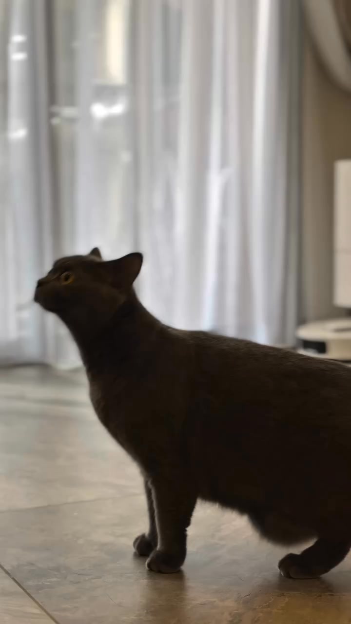 🔥 CNY Promo: Only $599 (U.P: $1699)