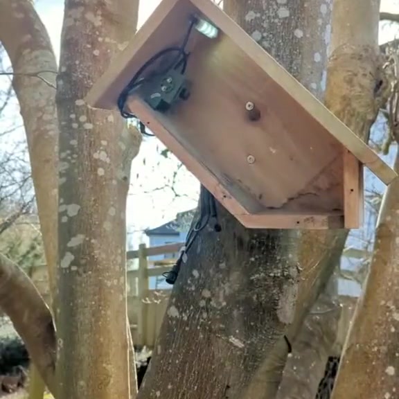 Too Busy to Enjoy Nature?