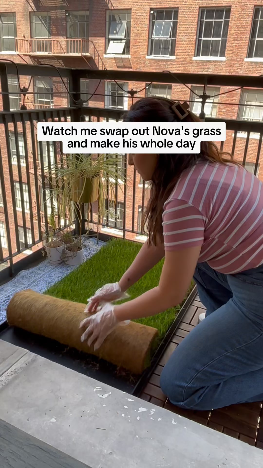 Real Grass for Potty Breaks
