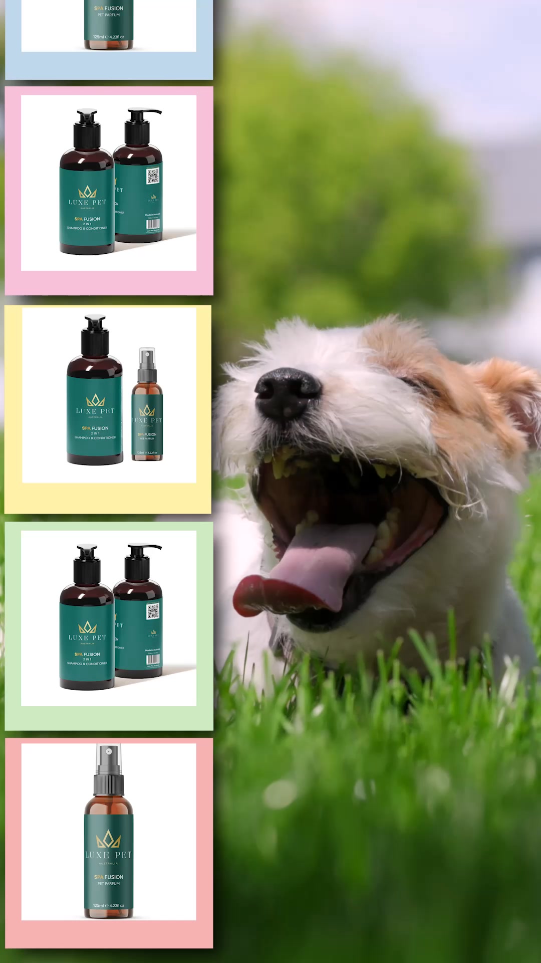 Keep Your Pet Happy and Healthy!