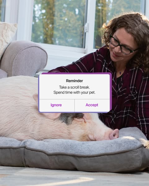 Get back to the important stuff. 🐷🦙🦔