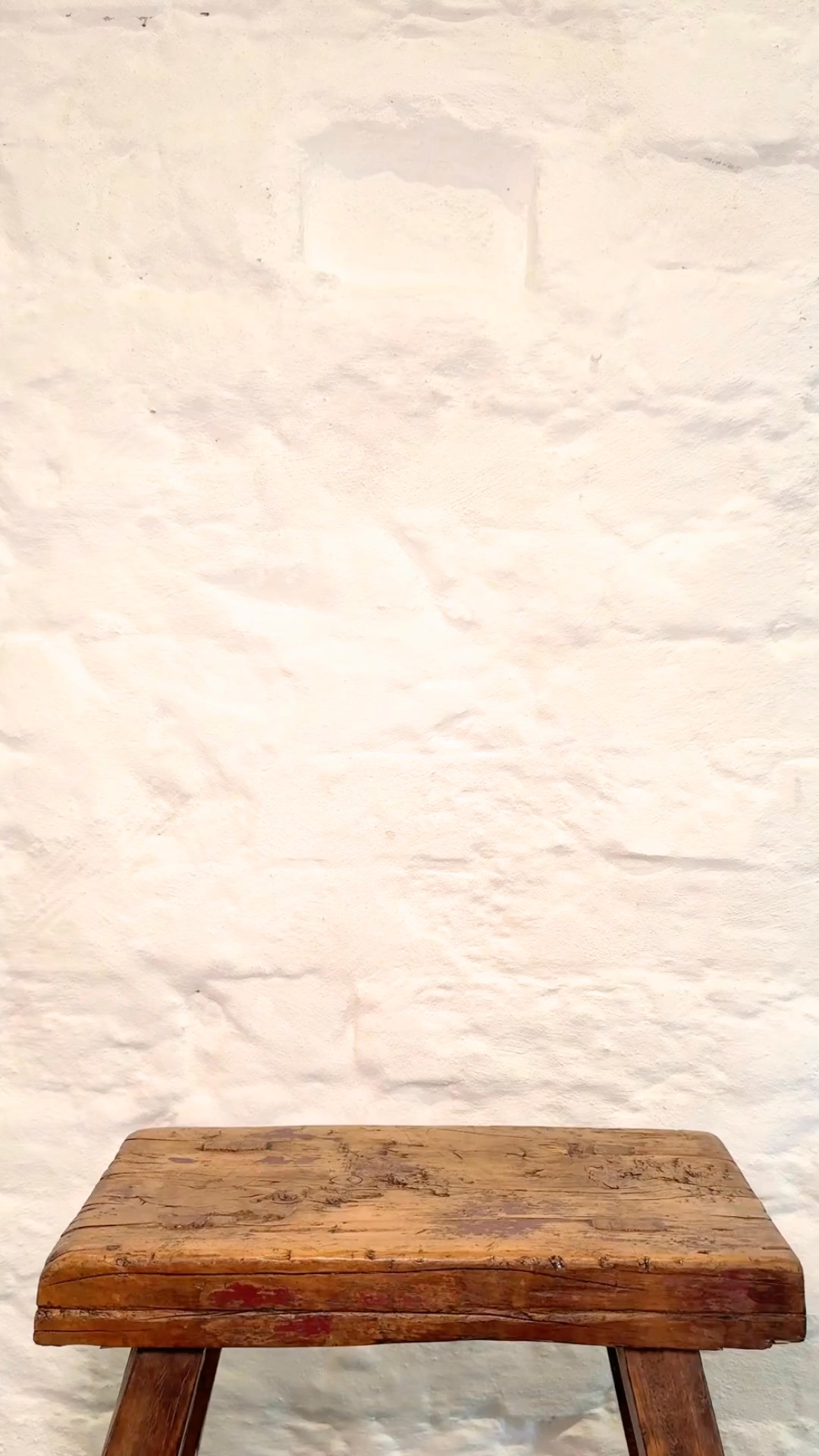 Zodiac Flowers Edition