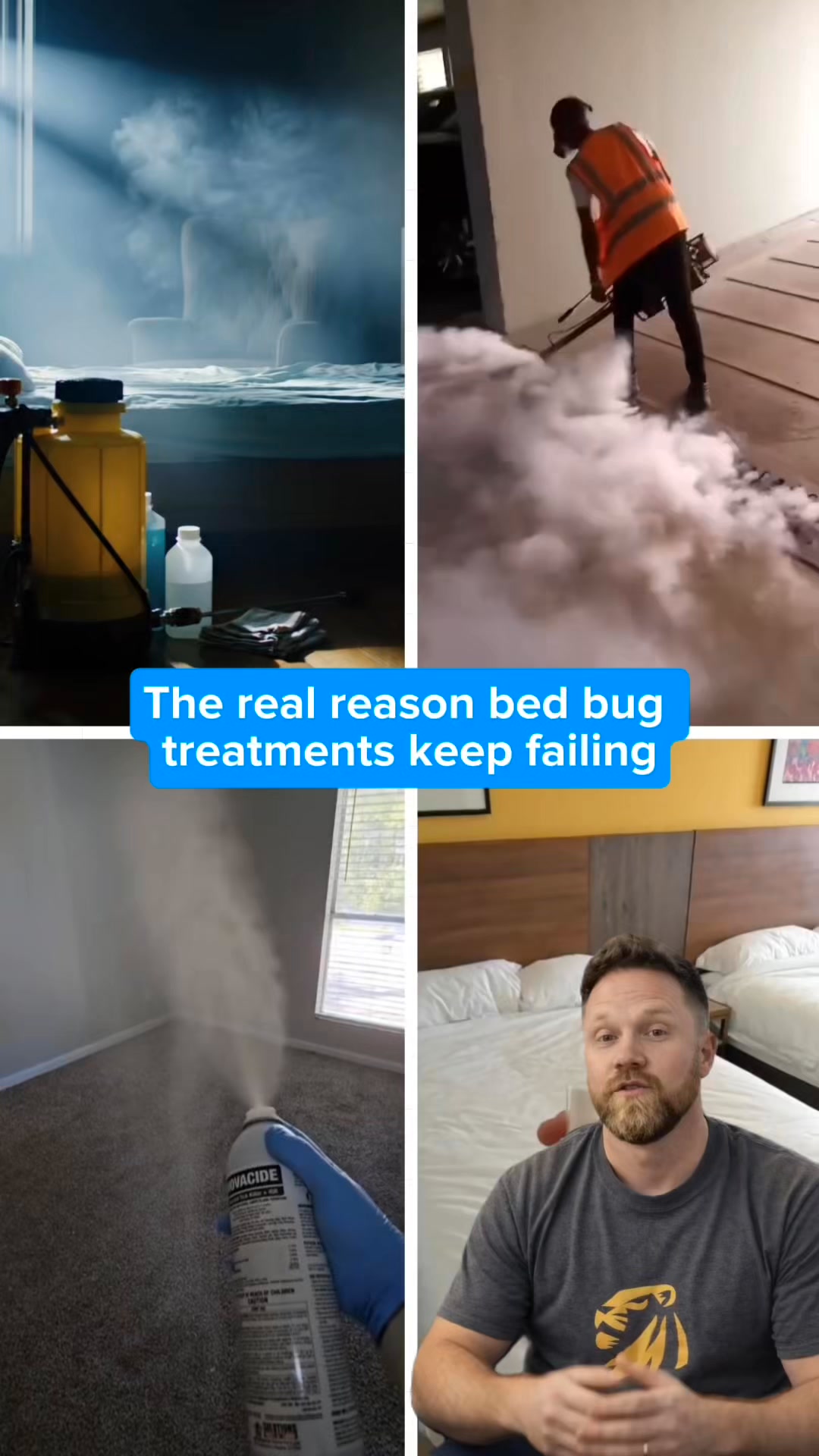 Say Goodbye To Bed Bugs