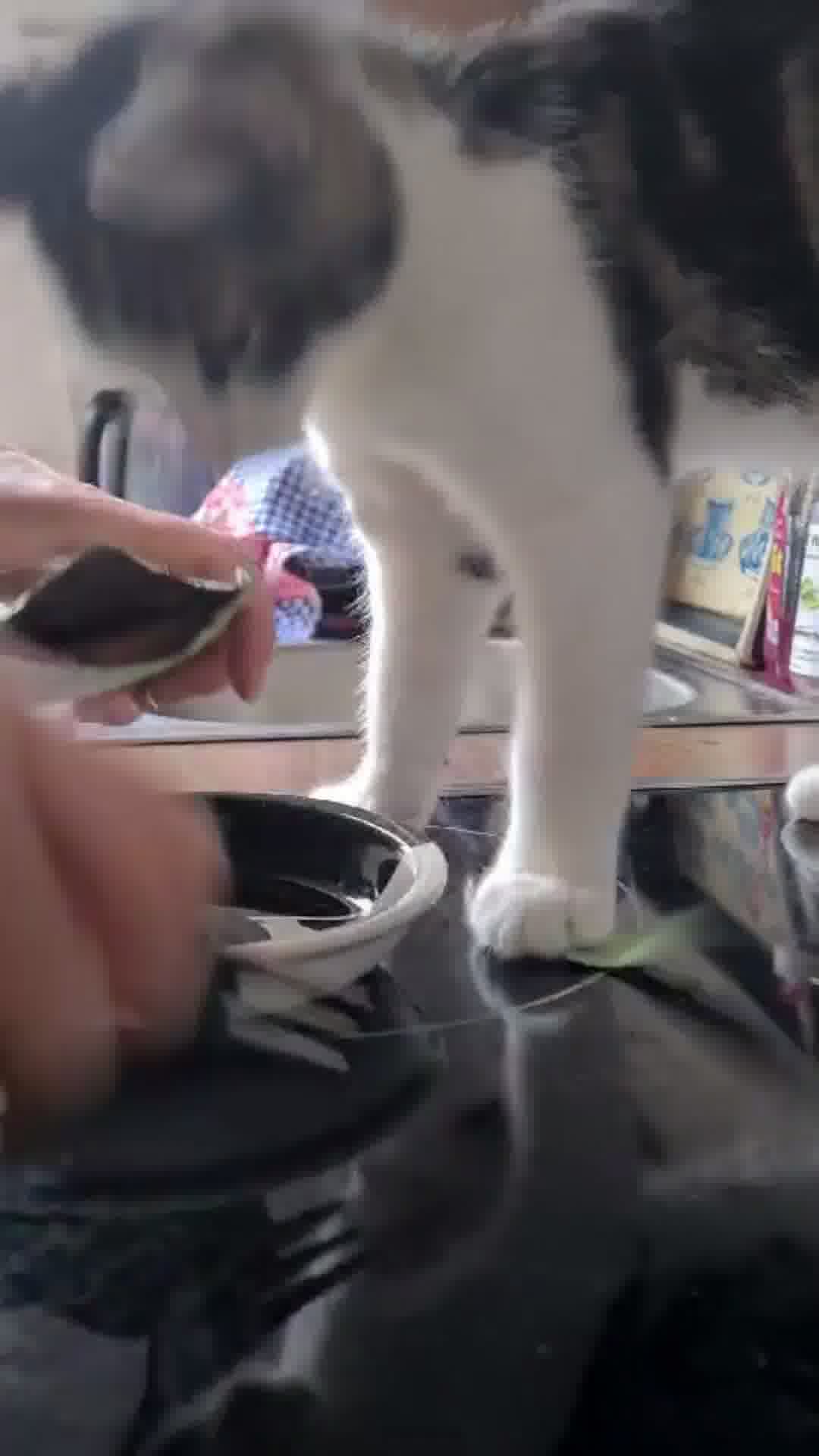 -15% Test-Rabatt. Code: TBC