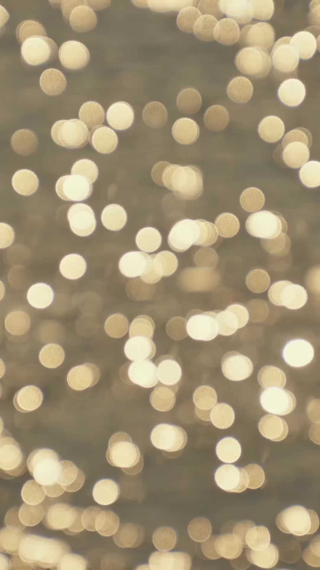 Carrera SS26 Drops Soon