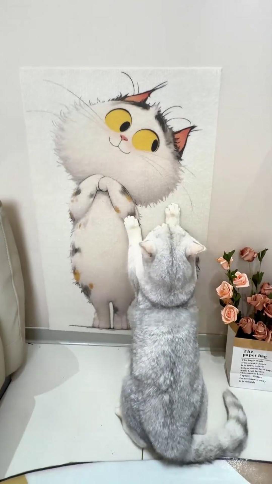 Finally, Sofa is Safe! 🛋️