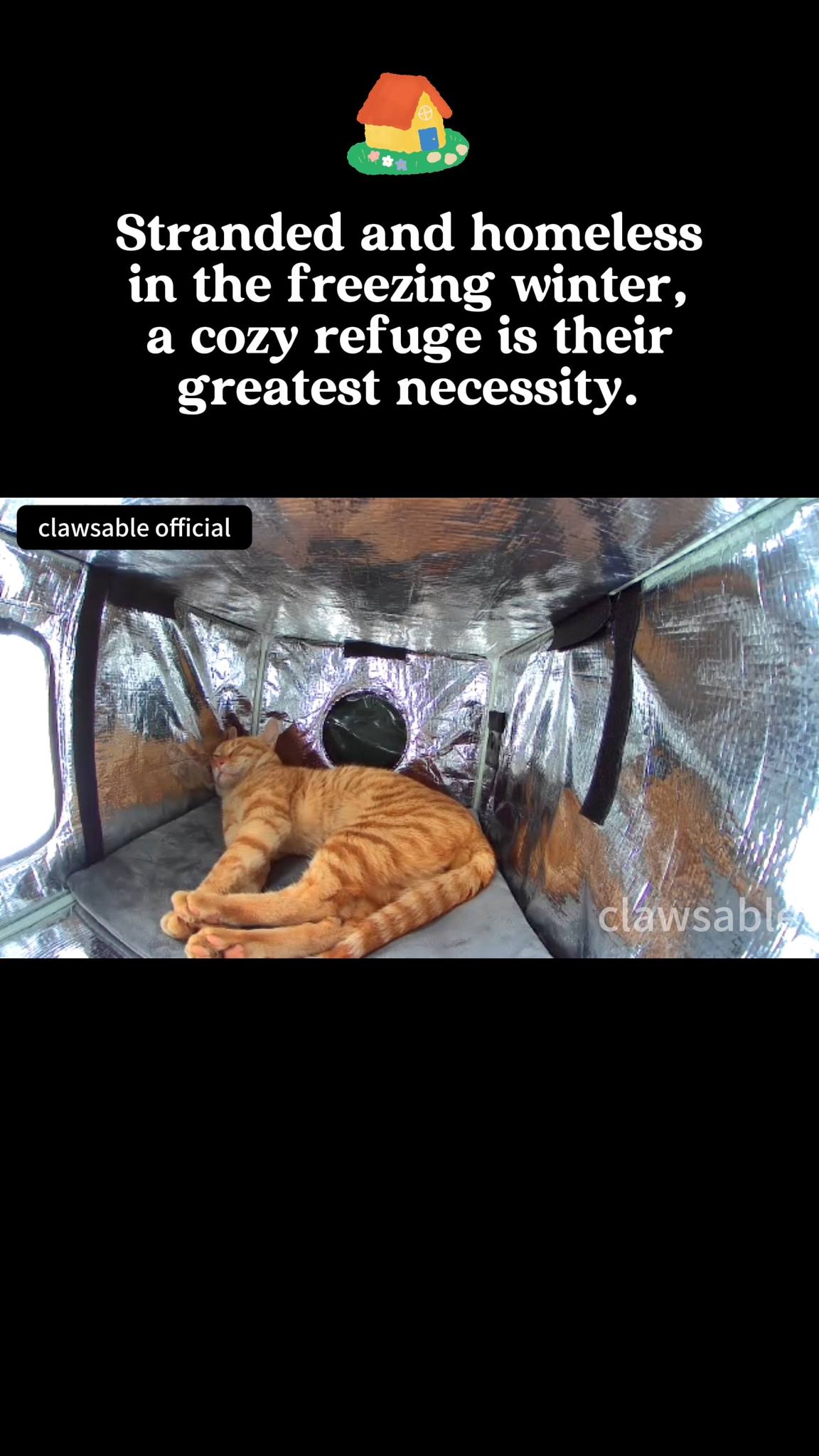 It suddenly stopped mid-meal.
Thought it froze—
turns out it just fell asleep purring 😹
#catcare #catslovers #catagram #bunnylove #straycats #catshelter #straycat #feralcats #cathouse #HappyWorkplace #OutdoorCats #communitycats #catasmr #SurpriseMoment