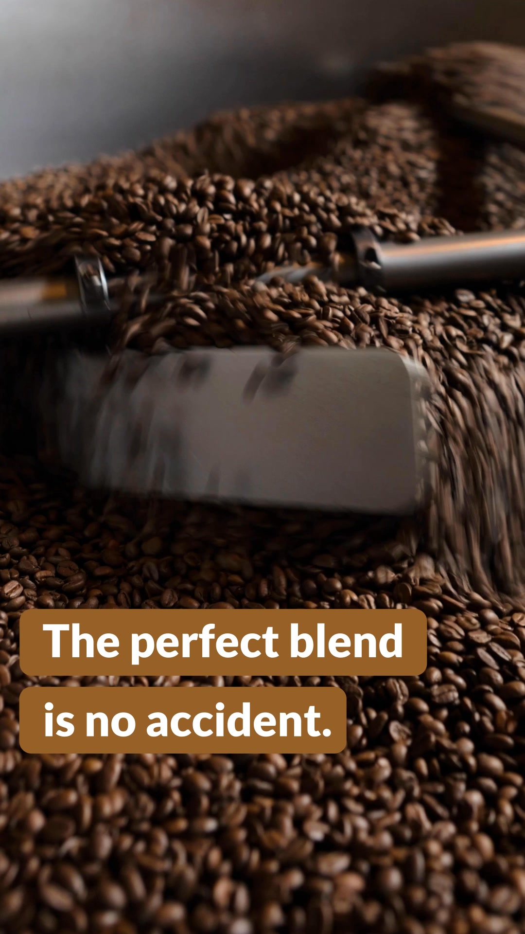 Don’t miss FREE SHIPPING Sitewide!