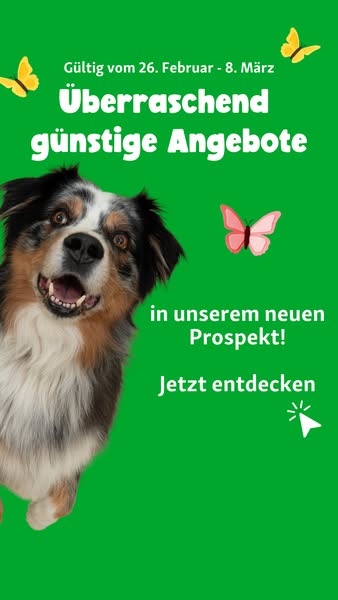 🐾 Bis zu 23% 🐾
