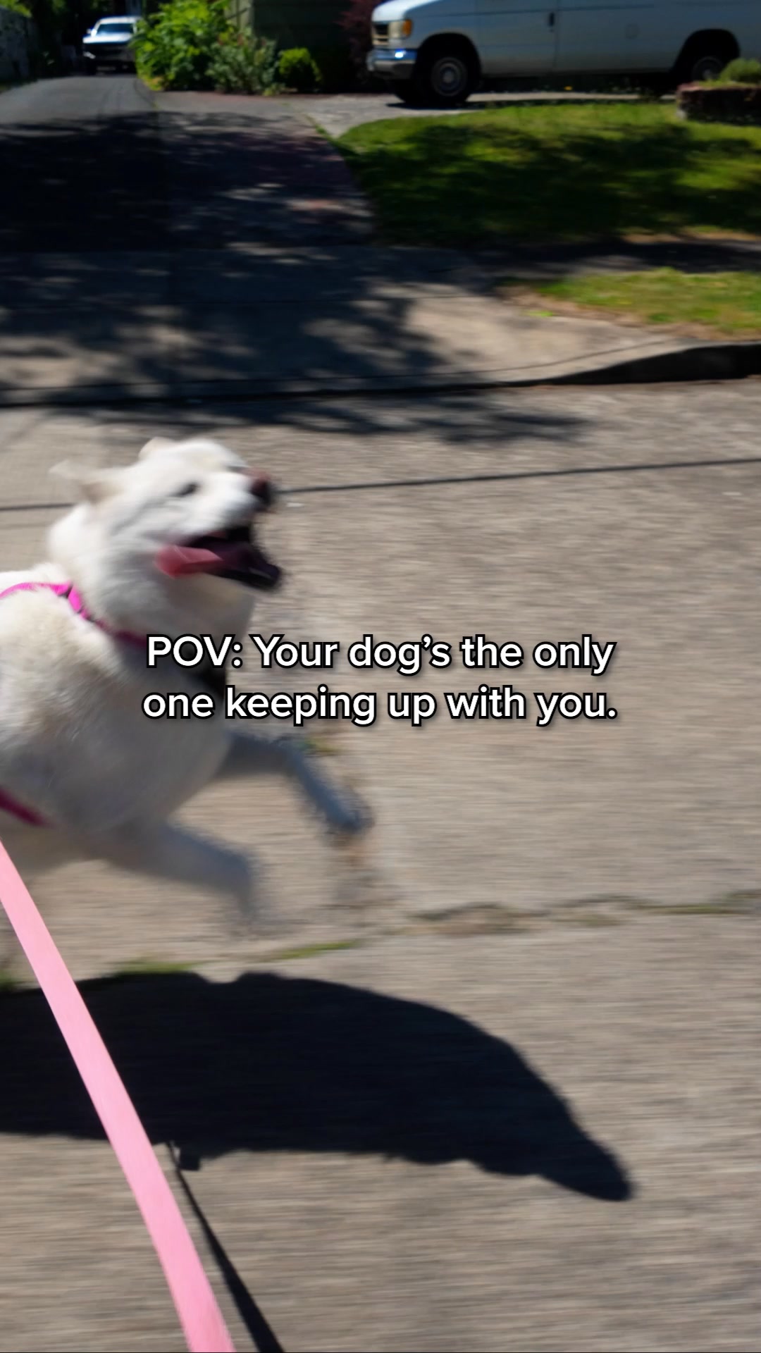 Finally Keep Up With Your Dog