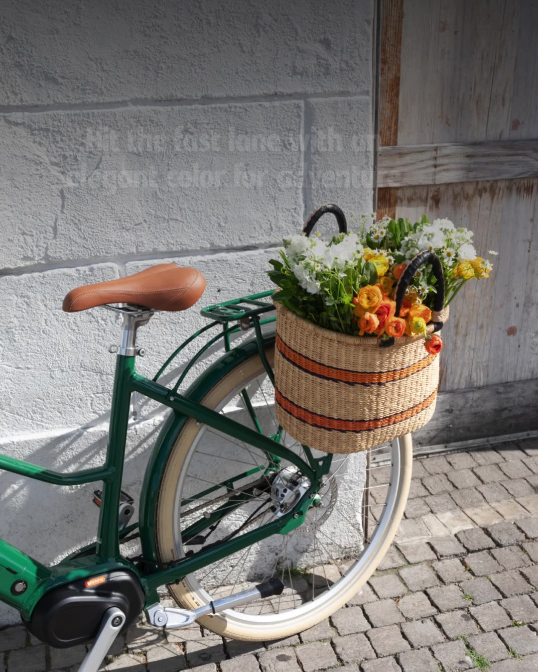 Lap Them in Luxury 🏁💨🚲🏎️