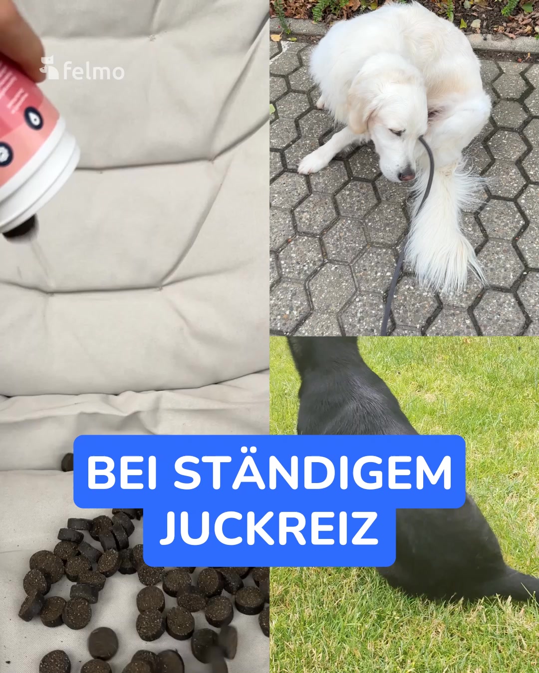 Jetzt Vorteils-Paket holen 👉